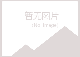 兴山区代云因特网有限公司